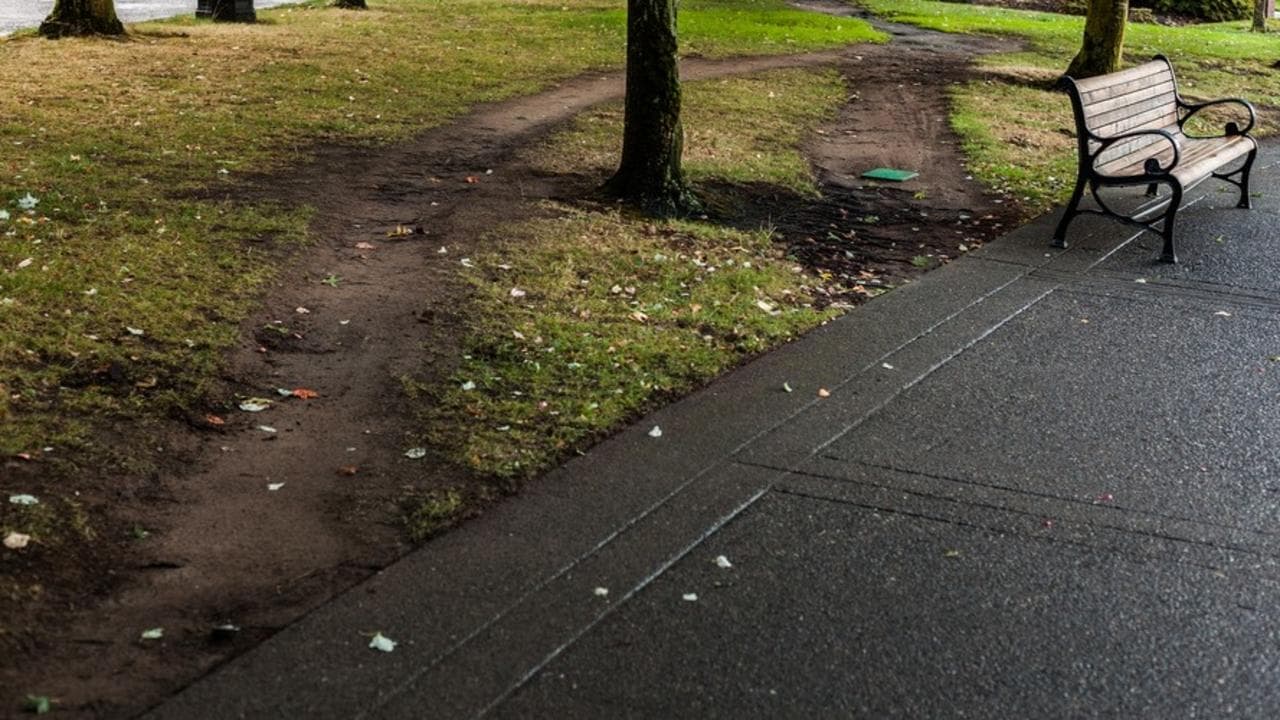 Object Lesson #1: Decision Trees and Desire Paths